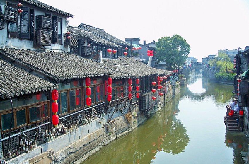 五彩鹦鹉救援